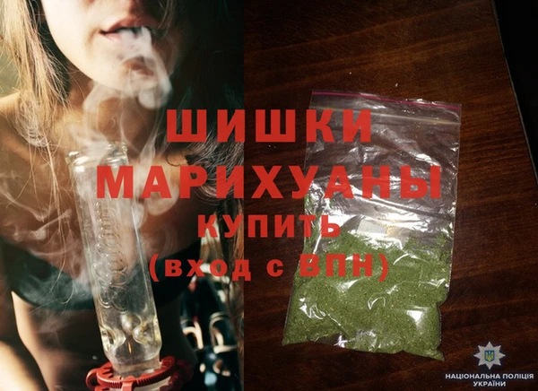 молекула духа Ельня