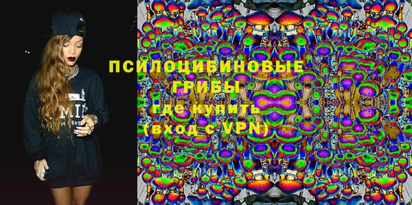 молекула духа Ельня
