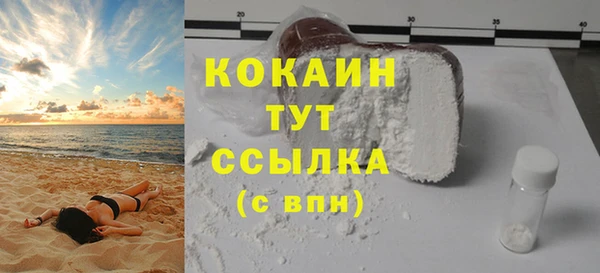 молекула духа Ельня