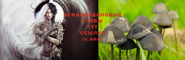 apvp Елабуга