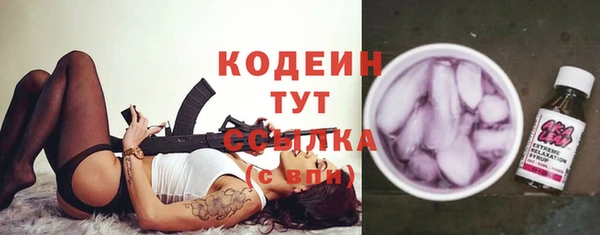 скорость Елизово