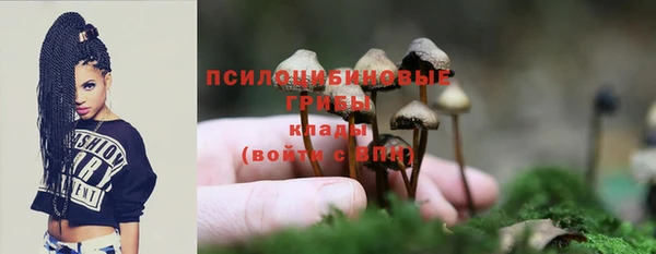 скорость Елизово