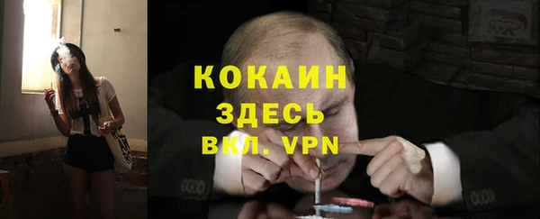 молекула духа Ельня