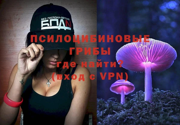 скорость Елизово