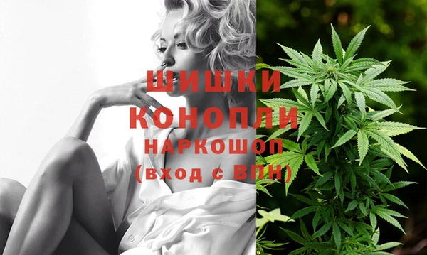 молекула духа Ельня