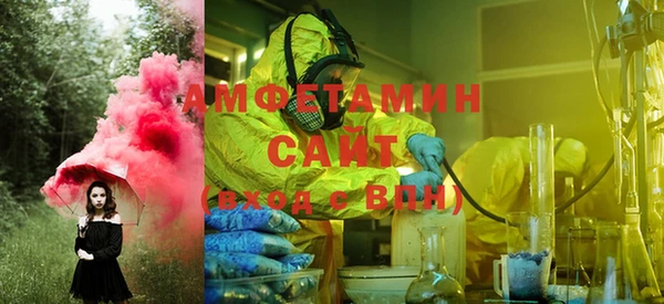 молекула духа Ельня