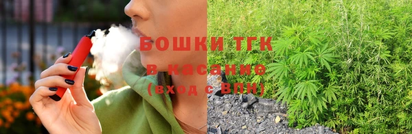 трава Дмитриев