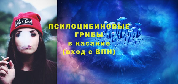 молекула духа Ельня