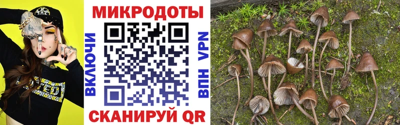 даркнет сайт  Новомосковск  Галлюциногенные грибы Psilocybine cubensis 