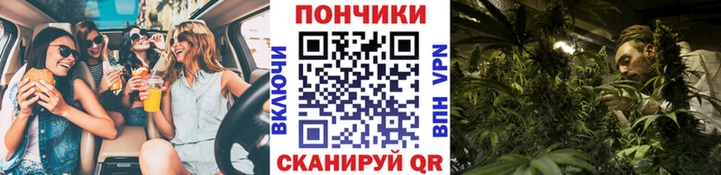 Конопля Bruce Banner  Новомосковск 